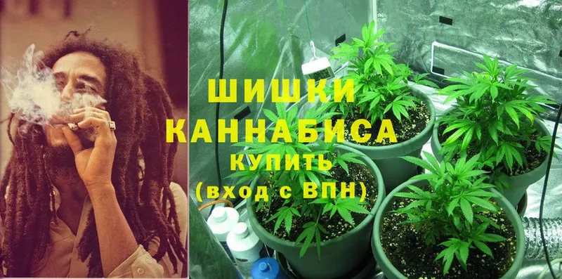 Марихуана OG Kush  Отрадное 